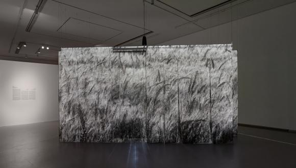Lee Yanor, Suspended II, 2024. Credit: Daniel Hanoch