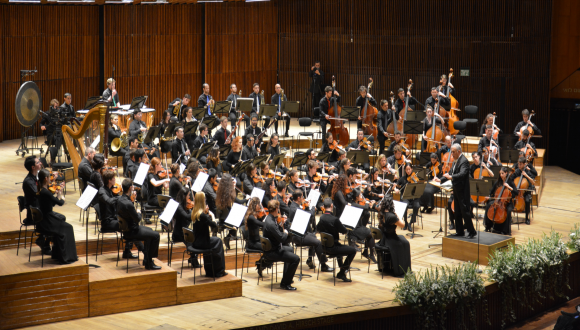 the bmsm orchestra