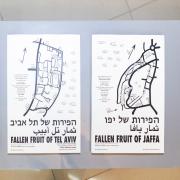 Maps -The Fruits Of Tel Aviv and Jaffa 